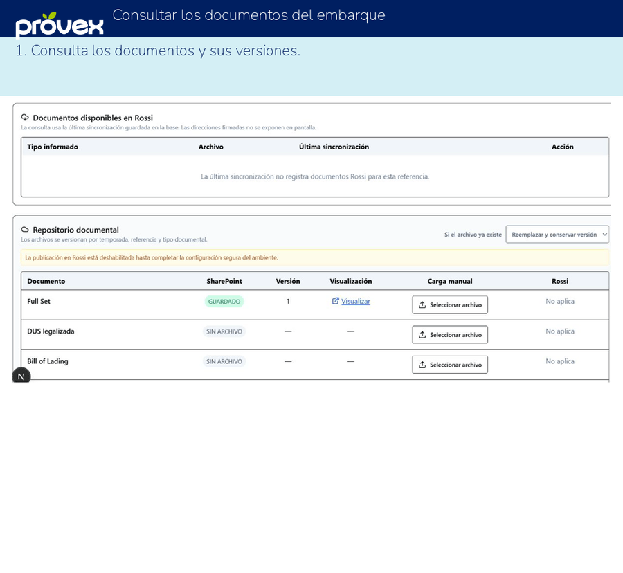 Consultar los documentos del embarque. Capturas reales del ERP.