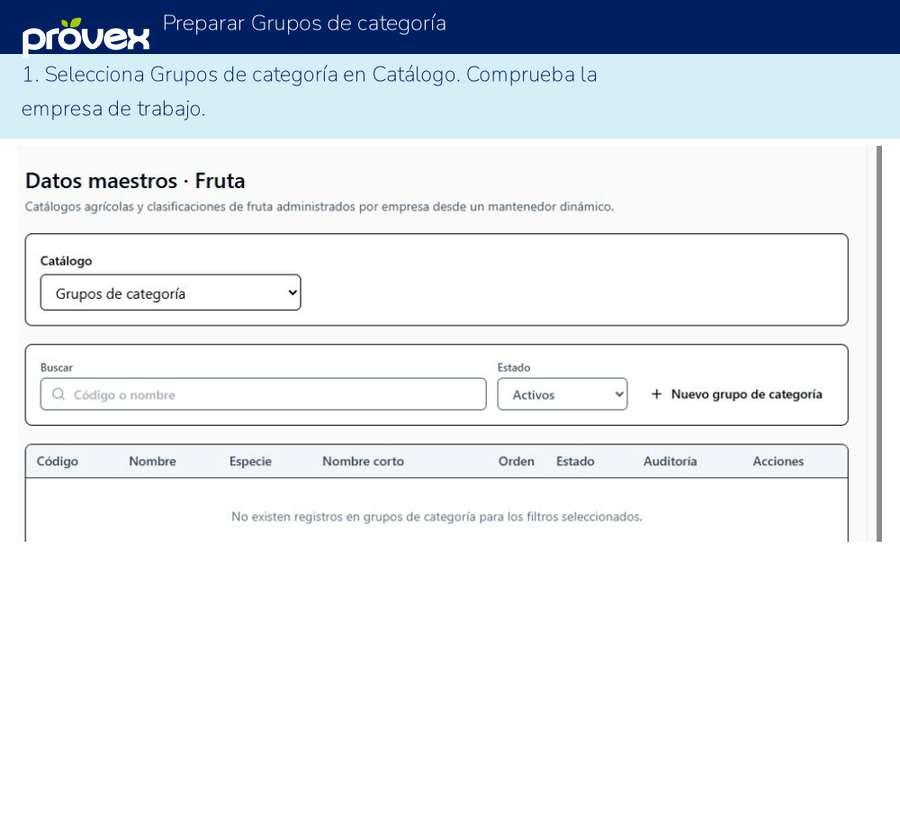 Preparar Grupos de categoría. Capturas reales del ERP.