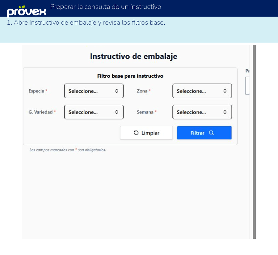 Preparar la consulta de un instructivo. Capturas reales del ERP.