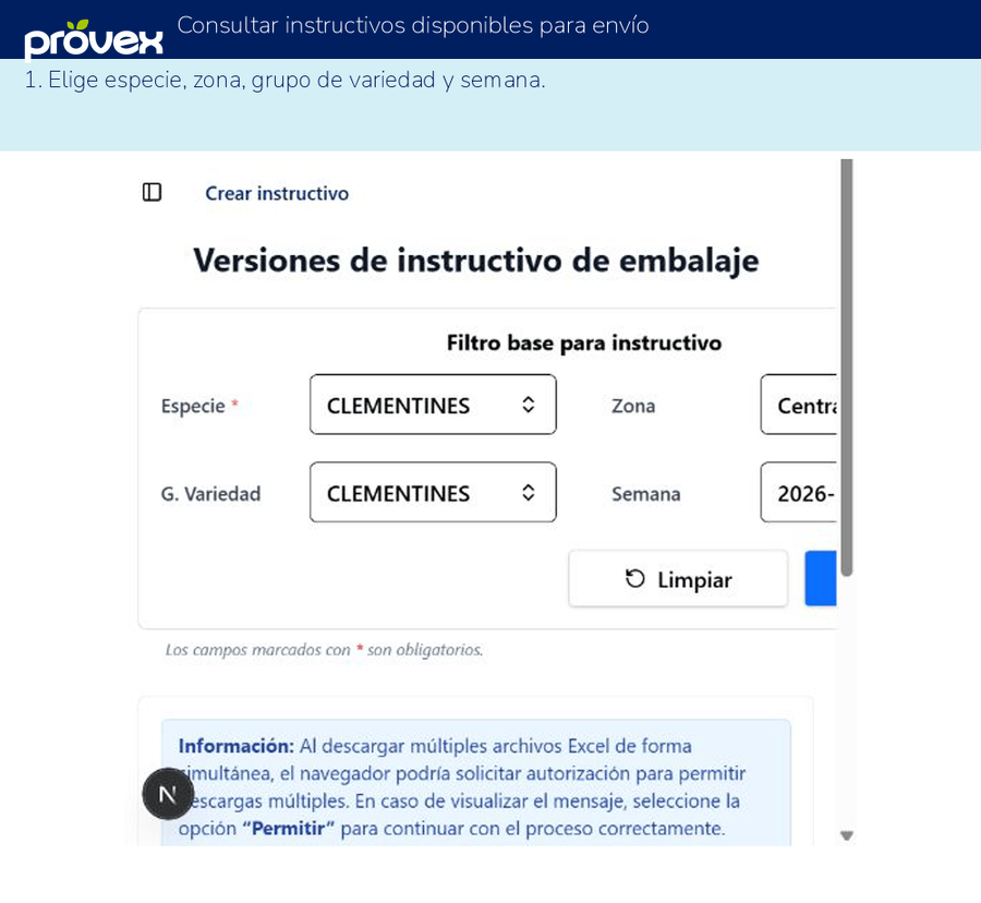 Consultar instructivos disponibles para envío. Capturas reales del ERP.