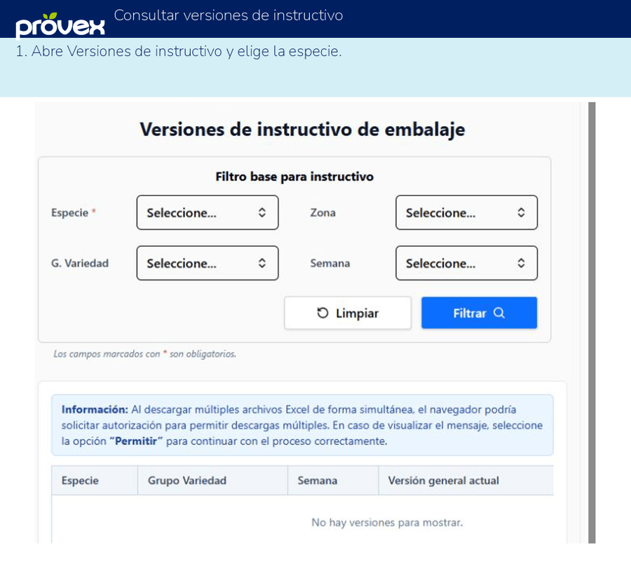Consultar versiones de instructivo. Capturas reales del ERP.